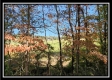 Tract 1 - Creek View property photo