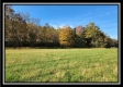 Tract 1 - Creek View property photo