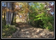 More of Tract 1 - Creek View