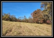 Tract 1 - Creek View property photo