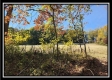 Tract 1 - Creek View property photo