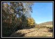 Tract 1 - Creek View property photo