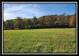 Tract 1 - Creek View property photo