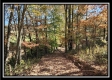 Tract 1 - Creek View property photo