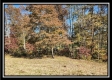 Tract 1 - Creek View property photo