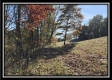 Tract 1 - Creek View property photo