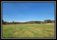 More of Tract 1 - Creek View