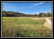 More of Tract 1 - Creek View