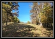 Tract 5 - Creek View property photo