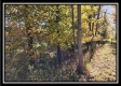 Tract 5 - Creek View property photo
