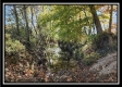 Tract 5 - Creek View property photo