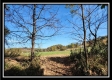 Tract 5 - Creek View property photo