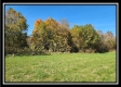 Tract 5 - Creek View property photo
