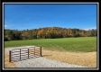 More of Tract 5 - Creek View