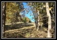 Tract 5 - Creek View property photo