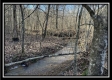 Stream View Cabin property photo