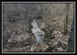 Stream View Cabin property photo