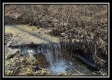 Stream View Cabin property photo