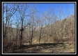 Stream View Cabin property photo