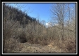 Stream View Cabin property photo