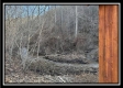 Stream View Cabin property photo