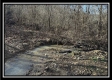 Stream View Cabin property photo
