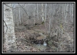 Stream View Cabin property photo