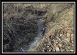 Stream View Cabin property photo