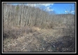 Stream View Cabin property photo
