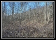 Stream View Cabin property photo