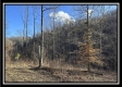 Stream View Cabin property photo