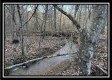 More of Stream View Cabin