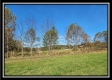 Tract 4 at Creek View Farms property photo