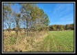 Tract 4 at Creek View Farms property photo