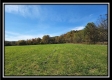 Tract 4 at Creek View Farms property photo