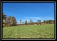 More of Tract 4 at Creek View Farms