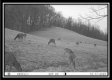 Tract 4 at Creek View Farms property photo