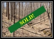 Tract 7 - The Views at Siverly Ridge