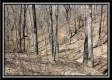 Tract 7 - The Views at Siverly Ridge property photo