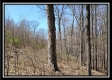Tract 7 - The Views at Siverly Ridge property photo