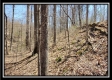 Tract 7 - The Views at Siverly Ridge property photo