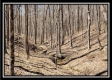 Tract 7 - The Views at Siverly Ridge property photo