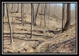 More of Tract 7 - The Views at Siverly Ridge