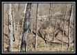 Tract 7 - The Views at Siverly Ridge property photo