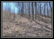 Tract 7 - The Views at Siverly Ridge property photo