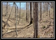 Tract 7 - The Views at Siverly Ridge property photo