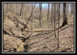 Tract 7 - The Views at Siverly Ridge property photo