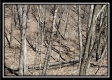 Tract 7 - The Views at Siverly Ridge property photo