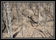 Tract 7 - The Views at Siverly Ridge property photo