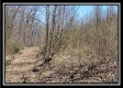 Tract 7 - The Views at Siverly Ridge property photo